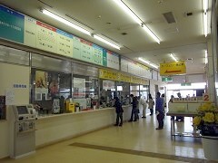 D葱